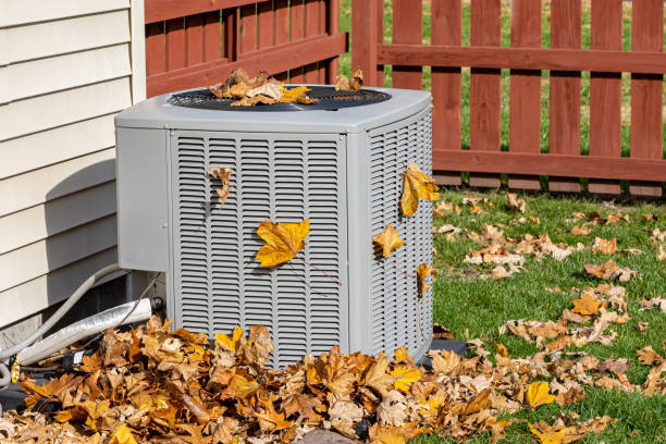 Best HVAC air duct cleaning  in Shandon, CA